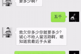 河曲讨债公司